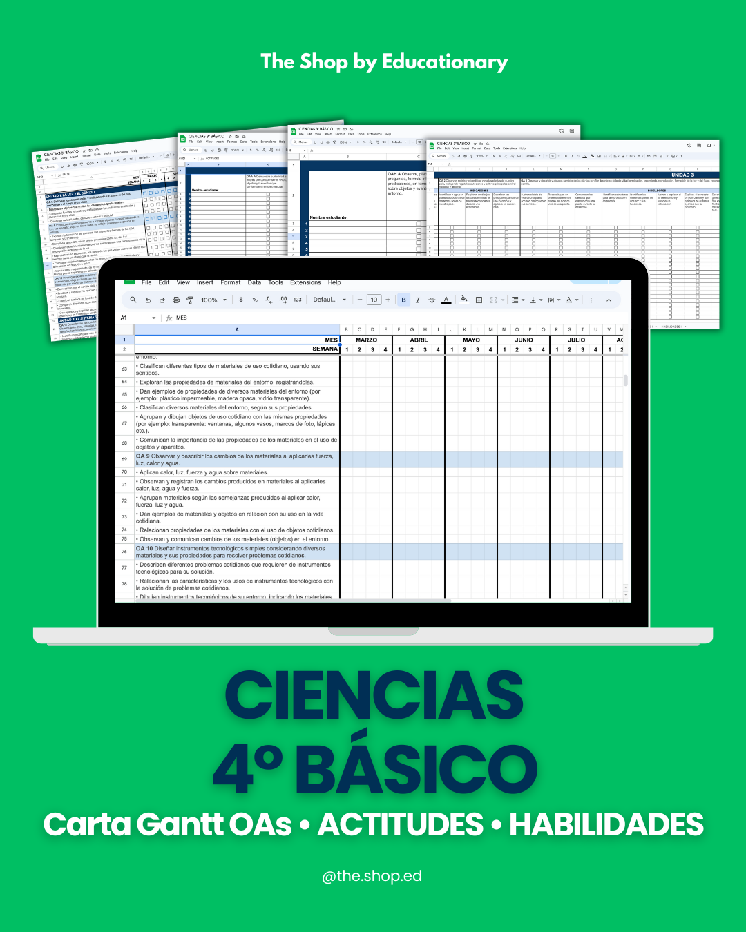 CARTA GANTT OAs - CIENCIAS NATURALES 4° BÁSICO