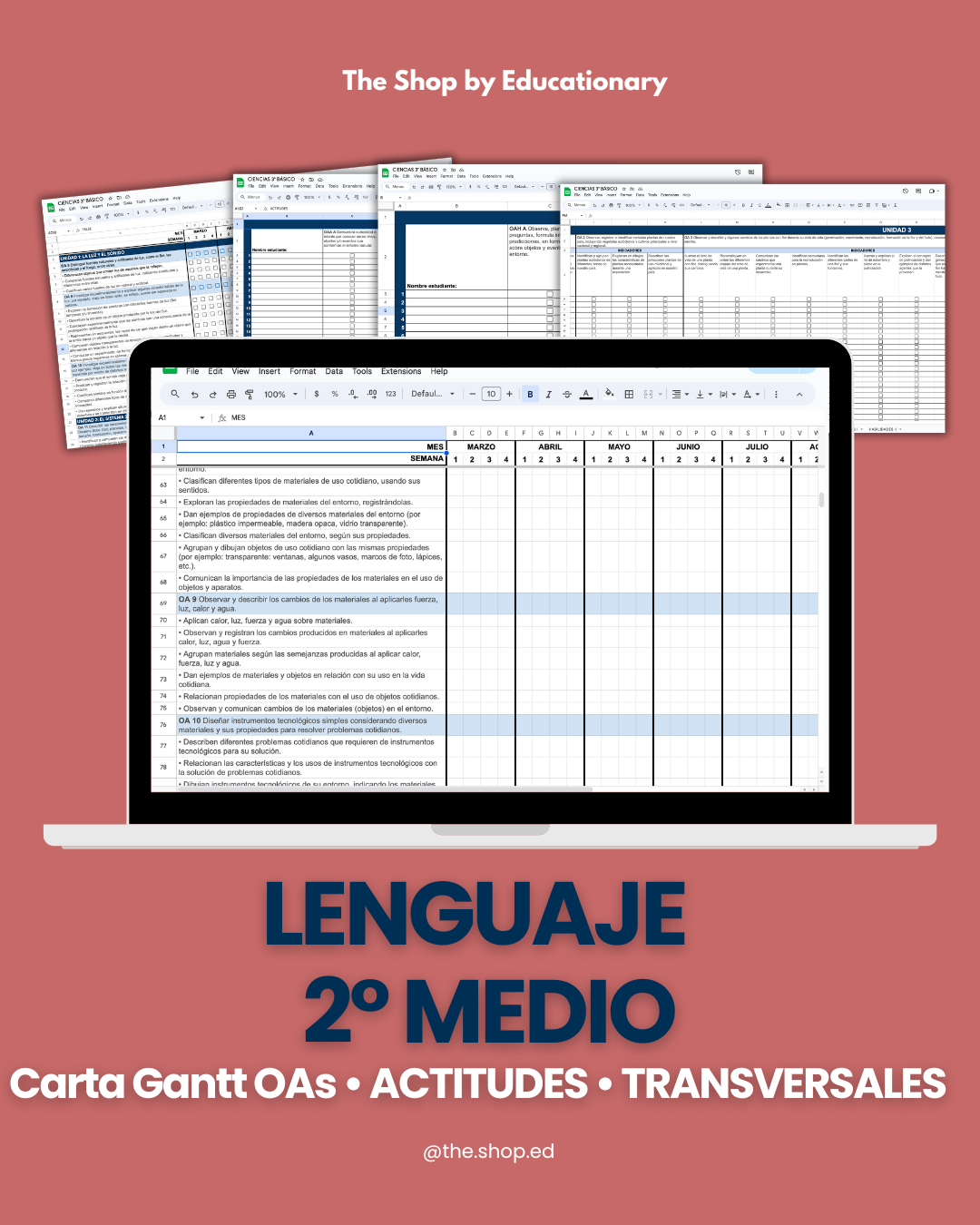 CARTA GANTT OAs - LENGUAJE 2° Medio