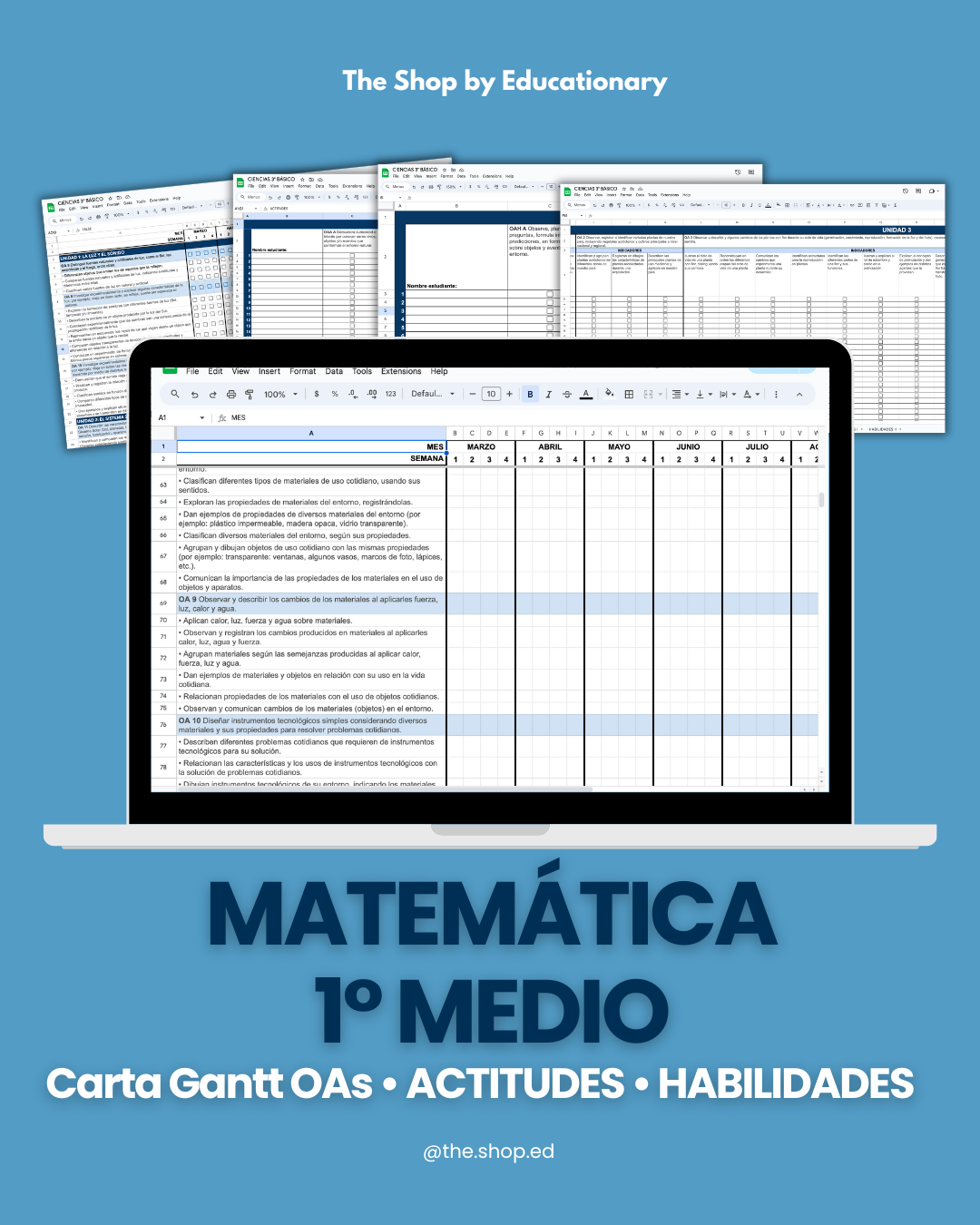 CARTA GANTT OAs - MATEMÁTICA 1° MEDIO