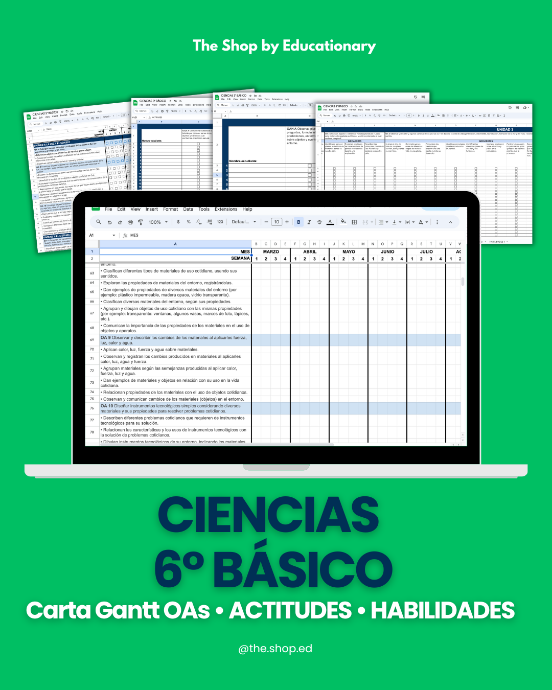 CARTA GANTT OAs - CIENCIAS NATURALES 6° BÁSICO