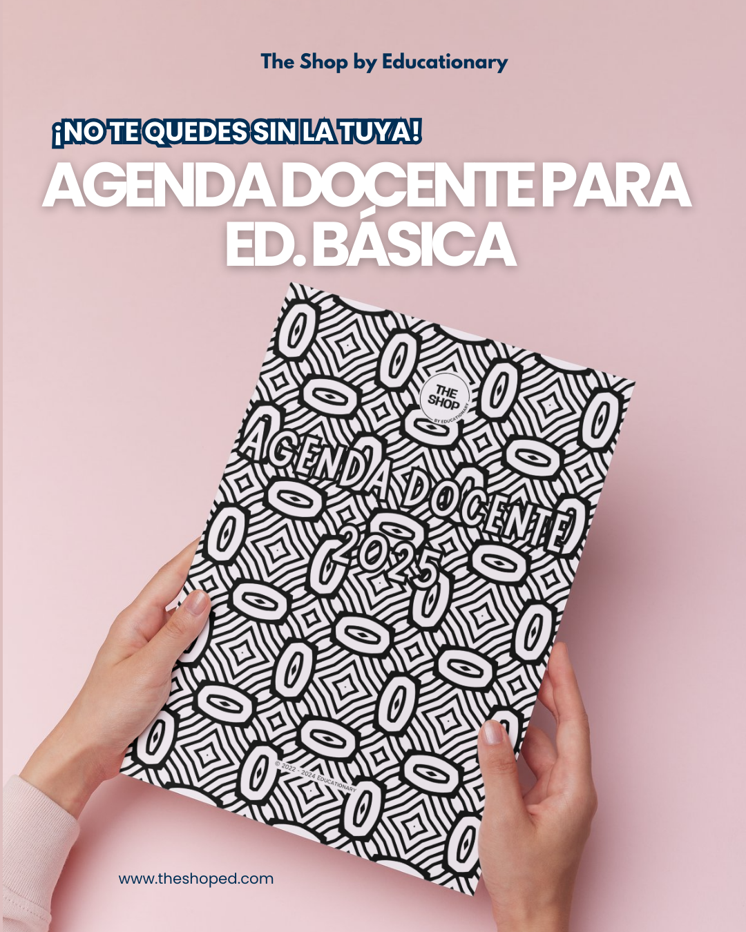 Agenda para Docentes Ed. Básica 2025