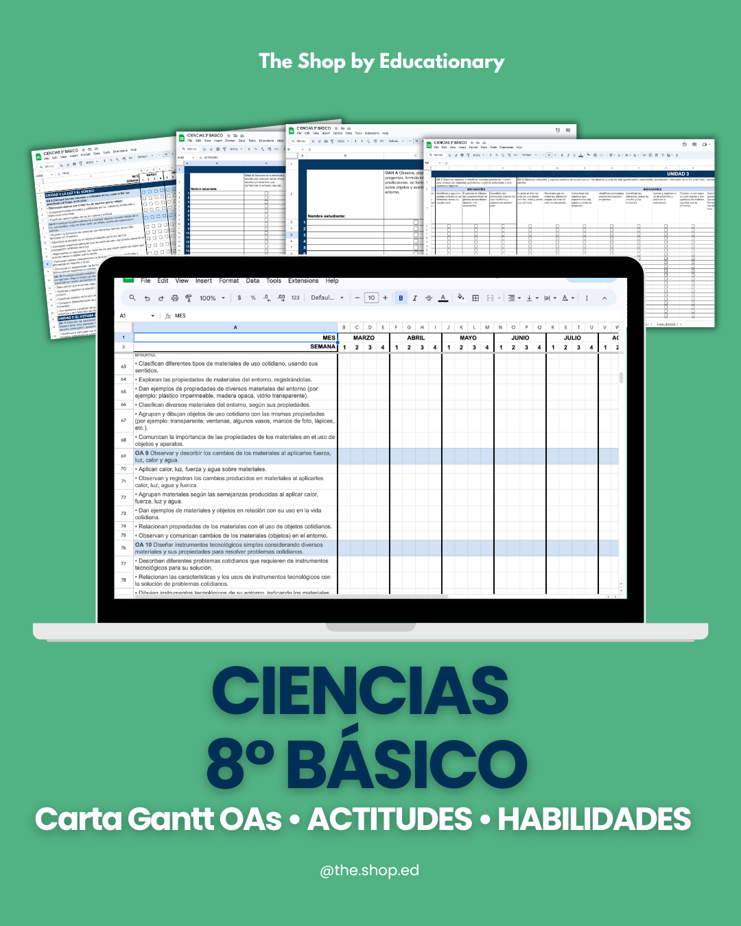 CARTA GANTT OAs - CIENCIAS NATURALES 8° BÁSICO
