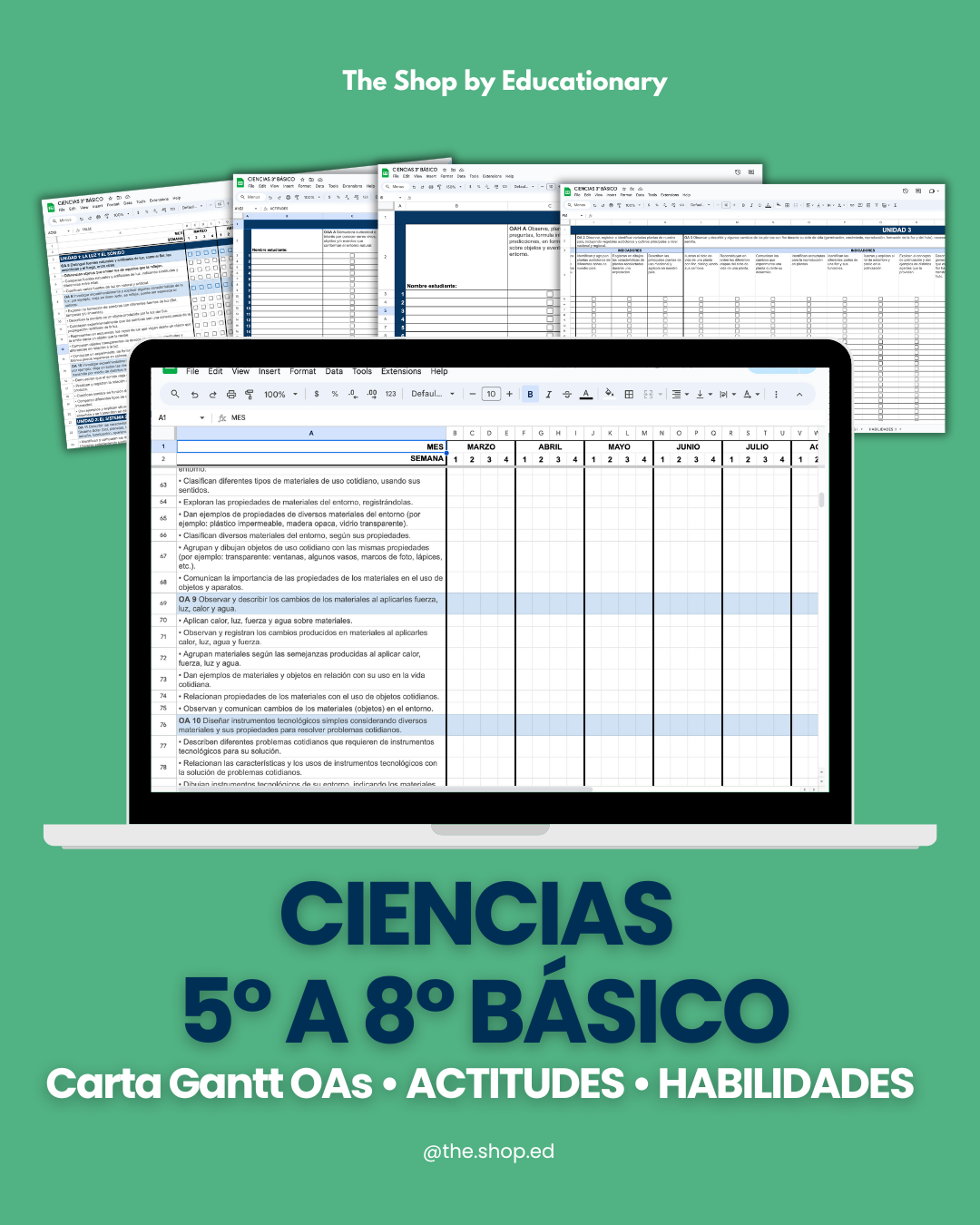 CARTA GANTT OAs - CIENCIAS 5° a 8° BÁSICO