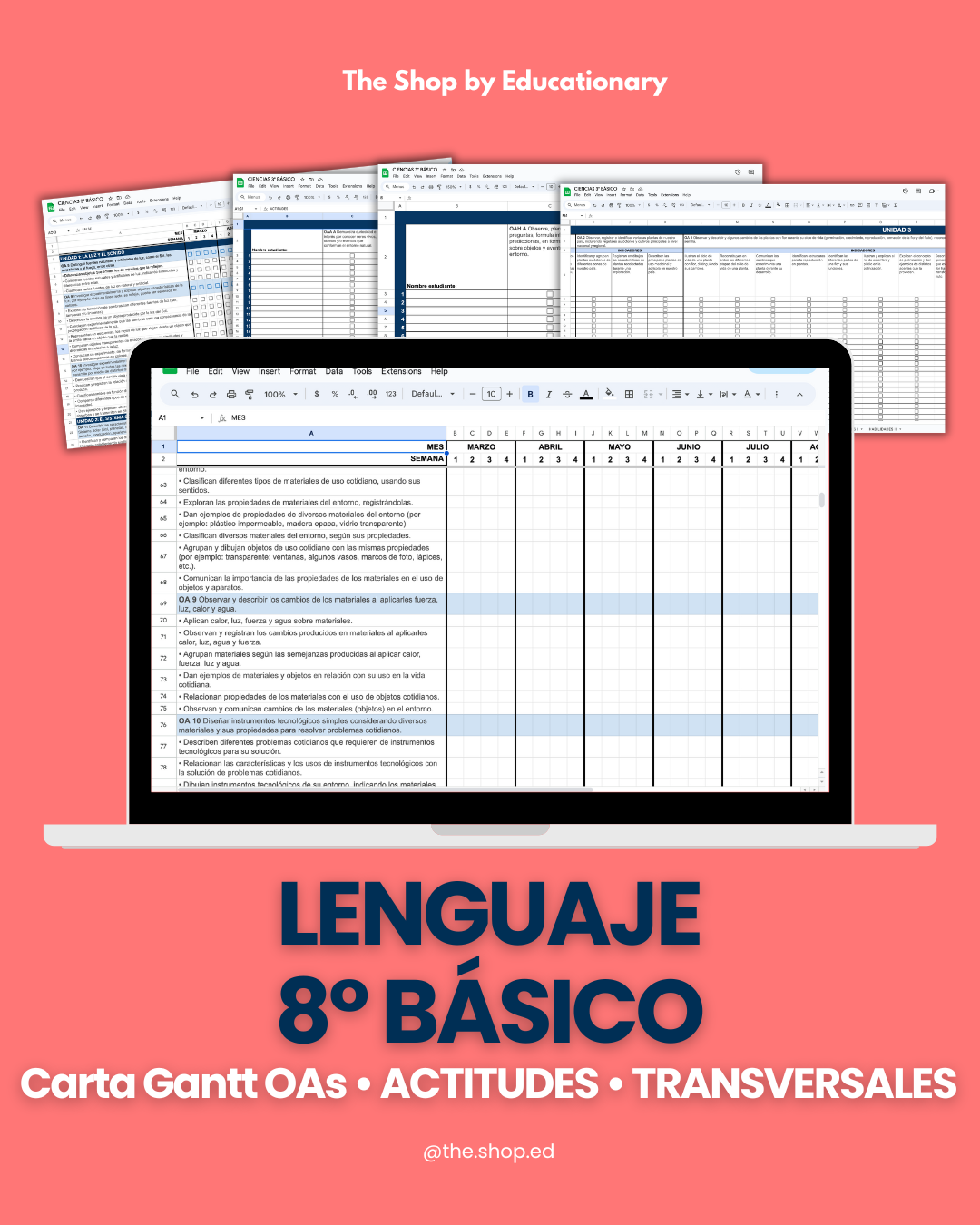 CARTA GANTT OAs - LENGUAJE 8° BÁSICO