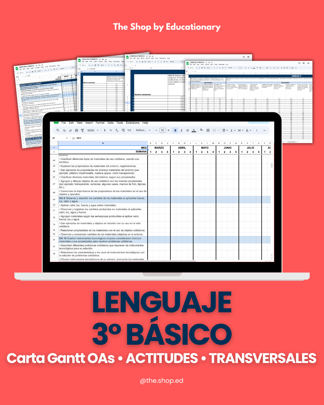 CARTA GANTT OAs - LENGUAJE 3° BÁSICO