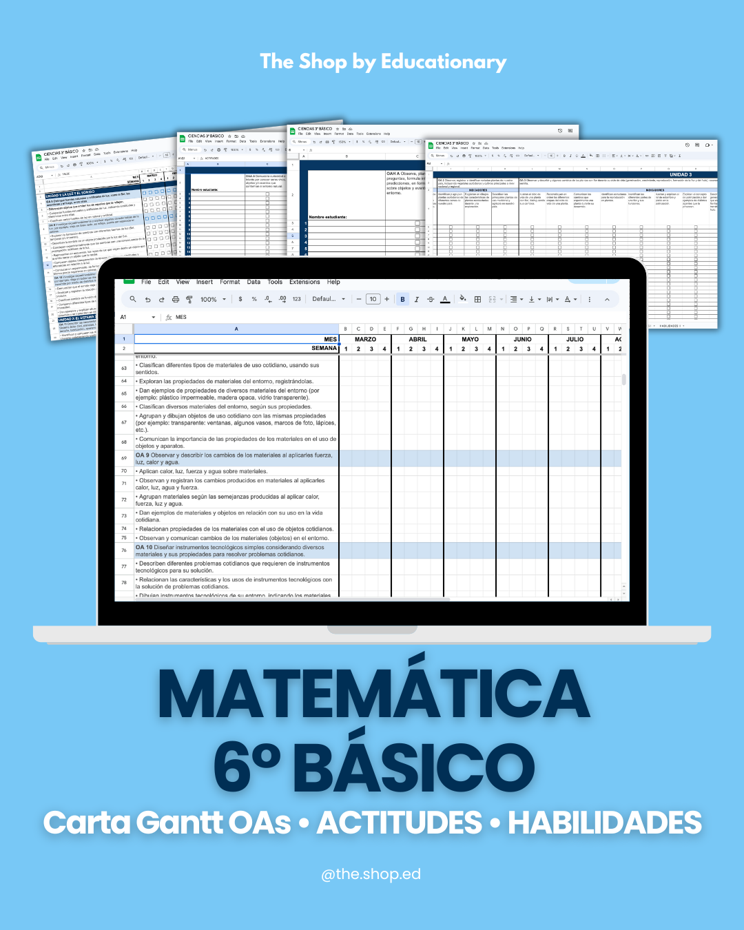 Copia de CARTA GANTT OAs - MATEMÁTICA 6° BÁSICO