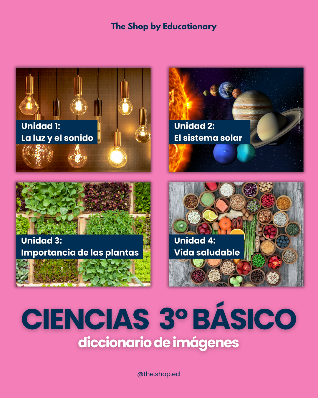 DICCIONARIO DE IMÁGENES - CIENCIAS 3° BÁSICO