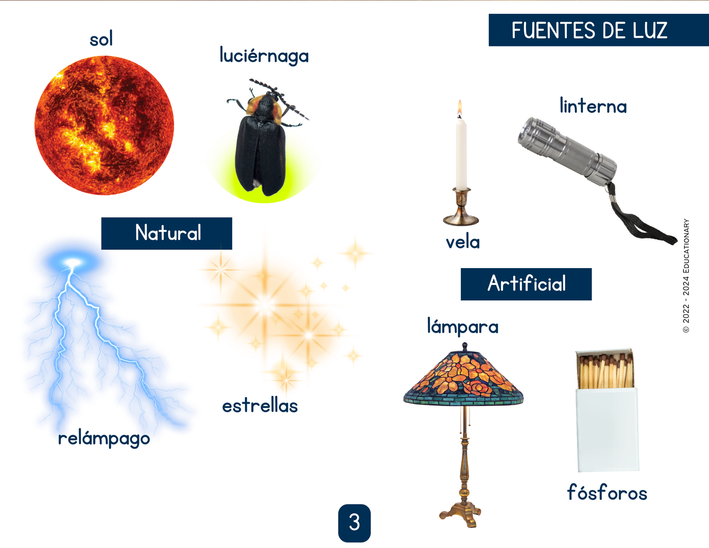 DICCIONARIO DE IMÁGENES - CIENCIAS 3° BÁSICO