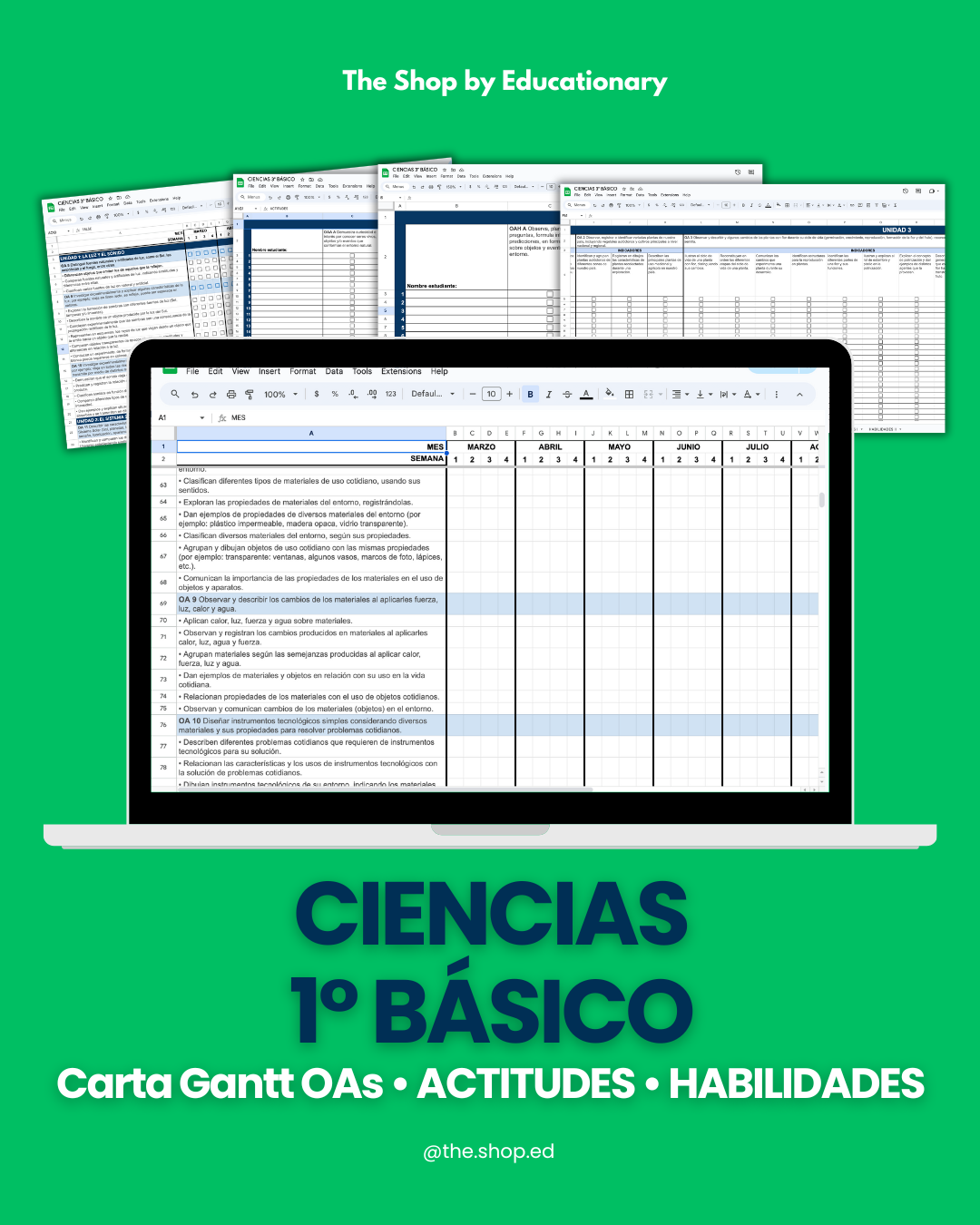 CARTA GANTT OAs - CIENCIAS NATURALES 1° BÁSICO