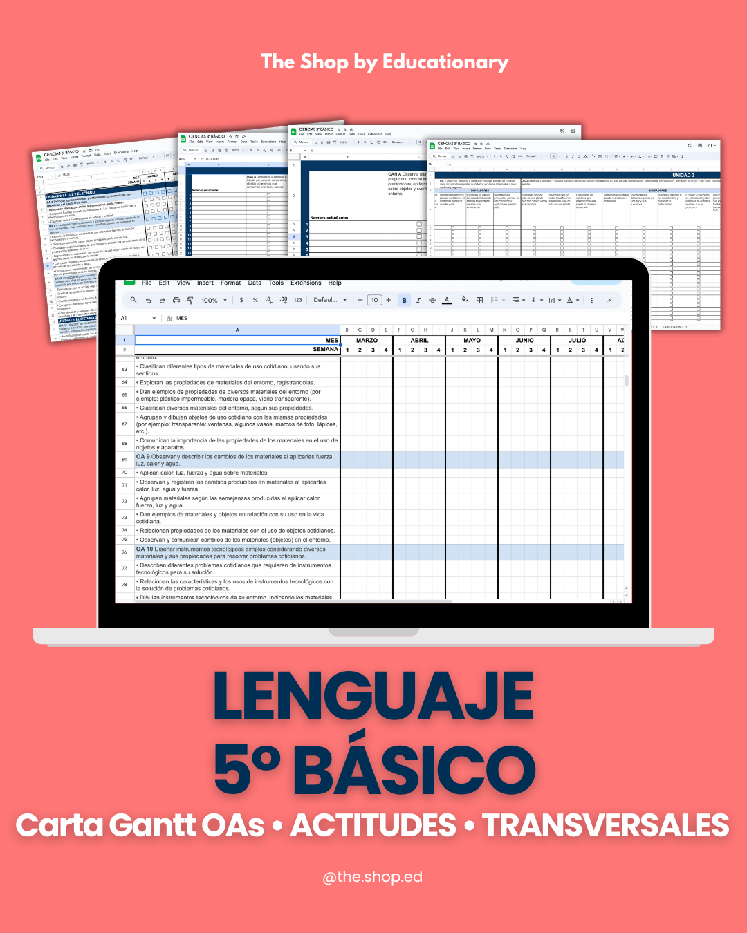 CARTA GANTT OAs - LENGUAJE 5° BÁSICO