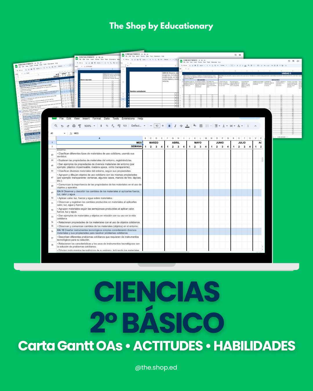 CARTA GANTT OAs - CIENCIAS NATURALES 2° BÁSICO