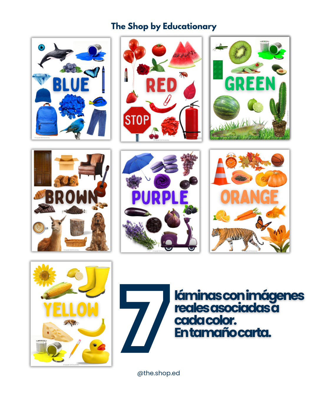 7 láminas con imágenes asociadas a cada color: azul, rojo, verde, café, morado, naranjo y amarillo. Láminas en tamaño carta.