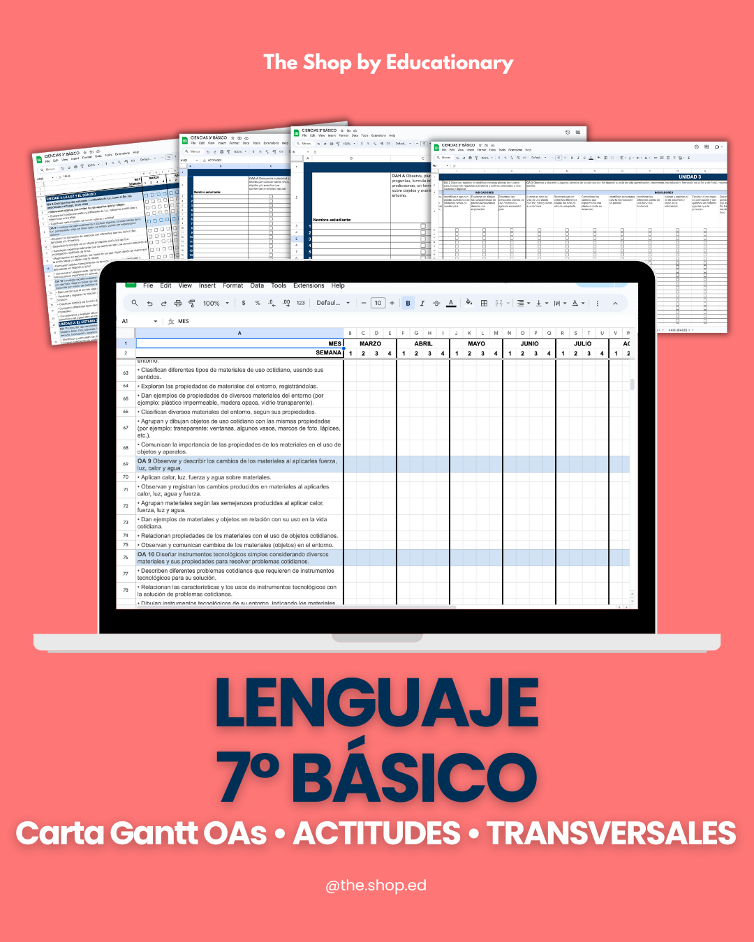 CARTA GANTT OAs - LENGUAJE 7° BÁSICO