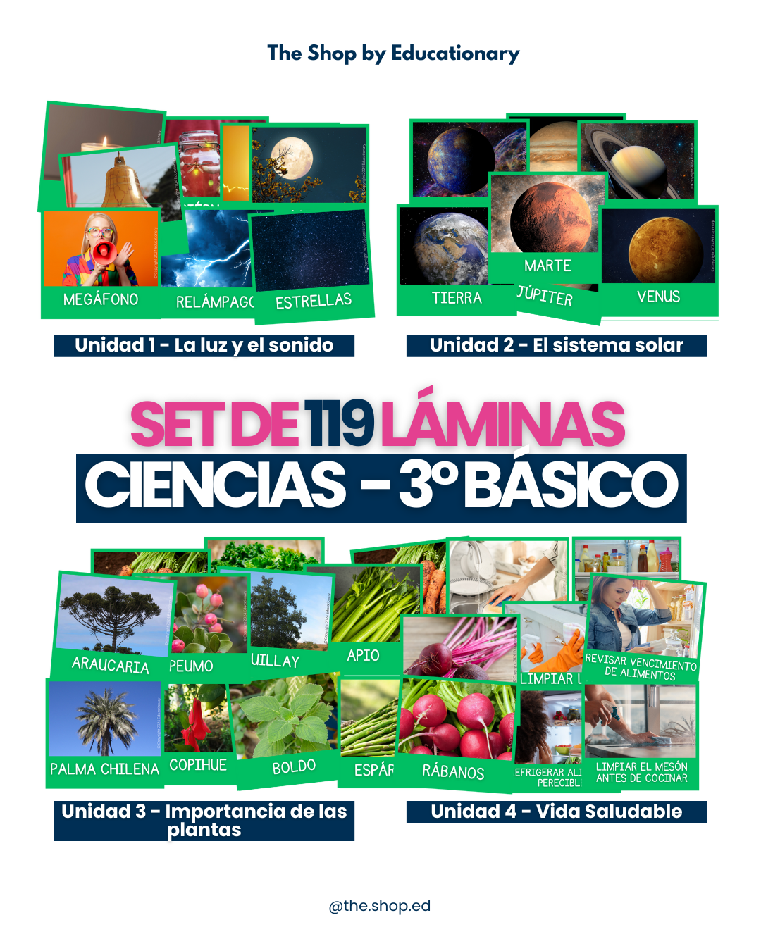 LÁMINAS: Set 119 láminas ciencias 3°Básico en español (Imágenes reales)