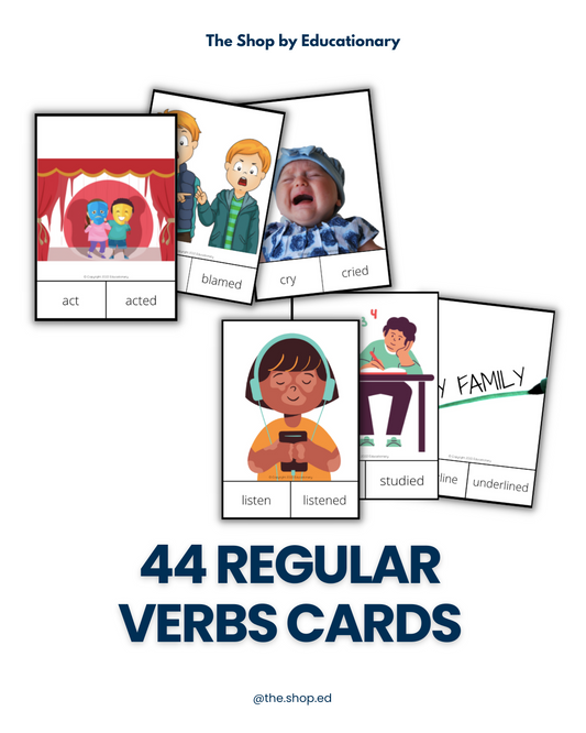 LÁMINAS: Regular verbs