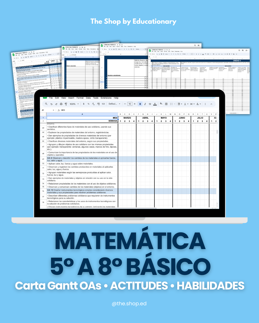 CARTA GANTT OAs - MATEMÁTICA 5° a 8° BÁSICO