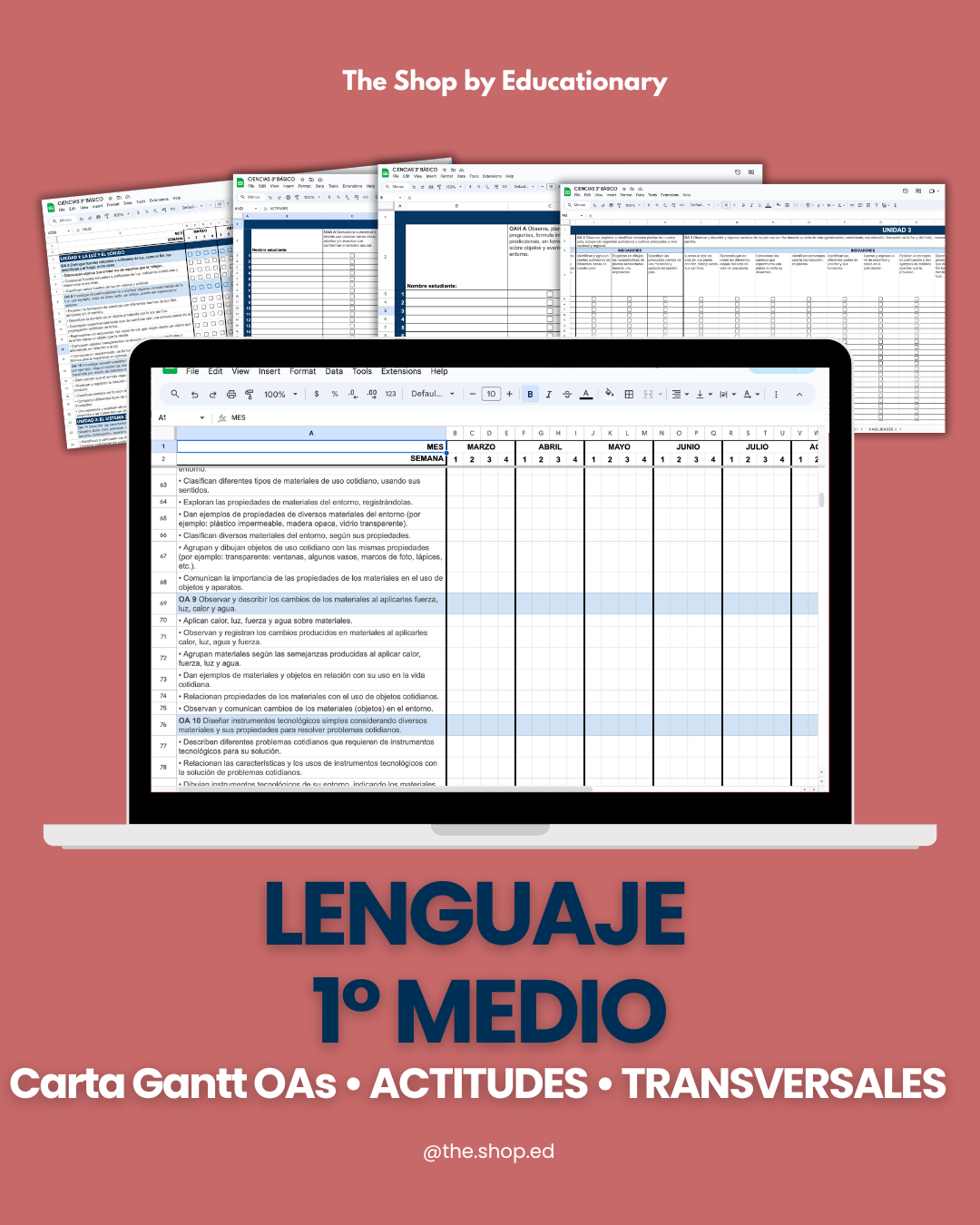 CARTA GANTT OAs - LENGUAJE 1° Medio